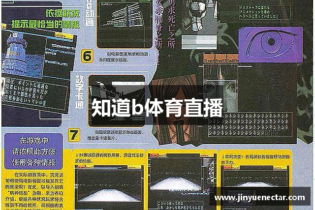 知道b体育直播